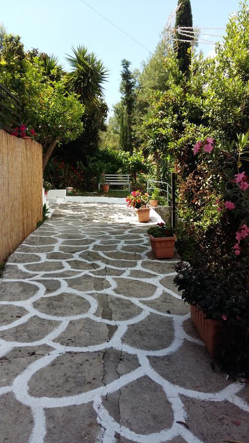 Ferienwohnung Delfini Bay Retreat Vasiliki Exterior foto